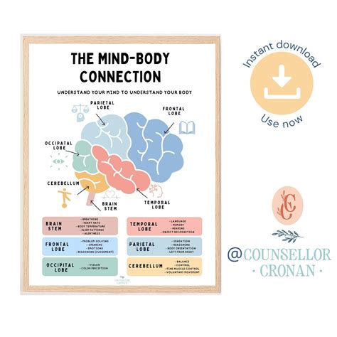 The Mind-Body Connection | Exploring the Psychology of Fitness and ... - balustradellc