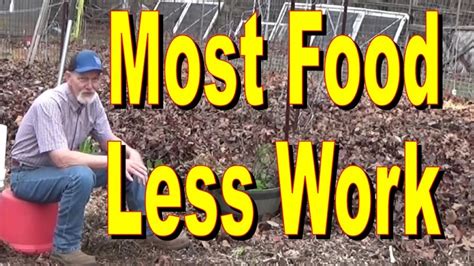 The Most Calorie-Dense Plants for Your Garden - balustradellc