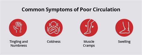 The Most Common Signs of Poor Circulation and How … - balustradellc