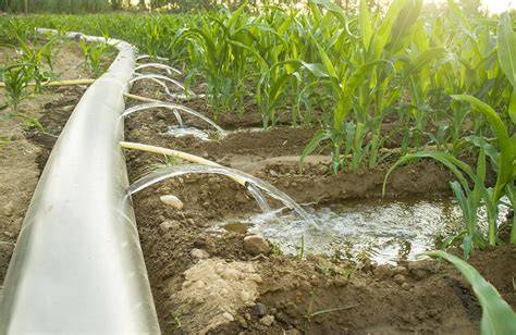 The Most Cost-Effective Irrigation Systems For Small … - raincitystudios.com