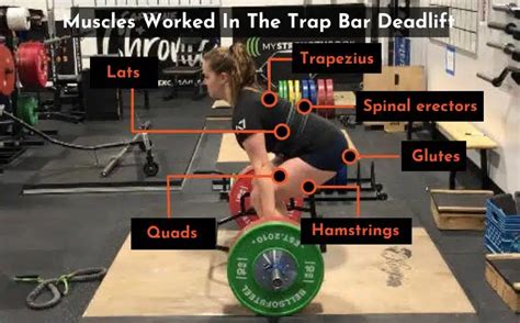 The Most Effective Deadlift Progression Revealed by … - balustradellc
