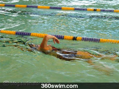The Most Useful Drill for Each Stroke - 360swim - balustradellc