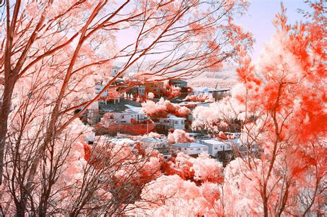 The MUST have Gear for Infrared Photography - balustradellc