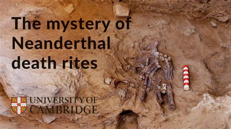 the mystery of the death of the last Neanderthal - Veritas News - wintechmobiles.com