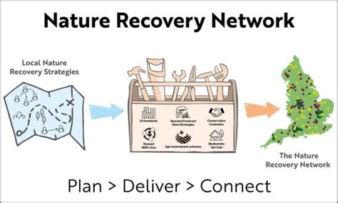 The Nature Recovery Network - GOV.UK - wintechmobiles.com