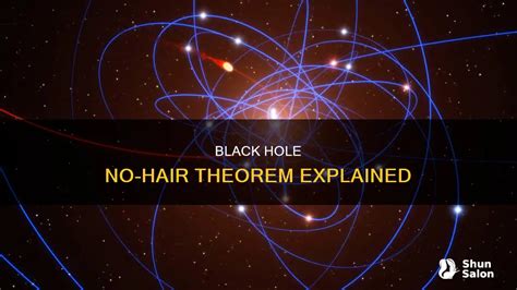 The No-Short Hair Theorem for Black Holes and ... - Semantic Scholar - wintechmobiles.com