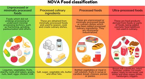 The NOVA Food Classification System - ECU Physicians - wintechmobiles.com