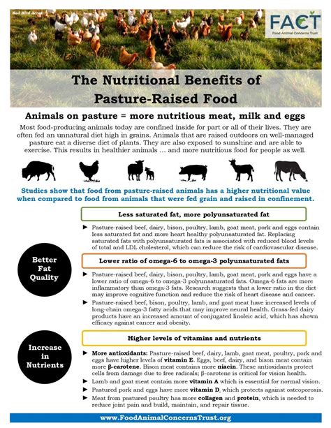 The Nutritional Benefits of Pasture-Raised Meat Birds - raincitystudios.com