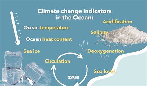 The Ocean: Climate Control - AMNH - raincitystudios.com