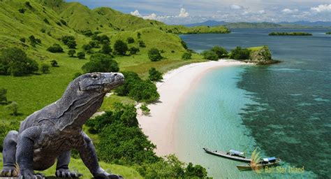 The official website of Komodo National Park, Indonesia. - balustradellc