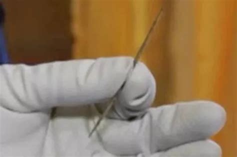 The Oldest Needle - Primal Derma - wintechmobiles.com