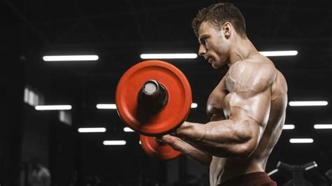 The Only Beginner Bodybuilding Routine You Need to Start Building ... - balustradellc