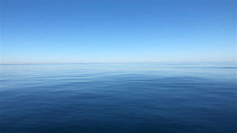The Open Ocean - MarineBio Conservation Society - raincitystudios.com