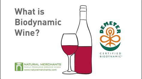 THE ORGANIC WINE MERCHANTS LTD - Free Company Check