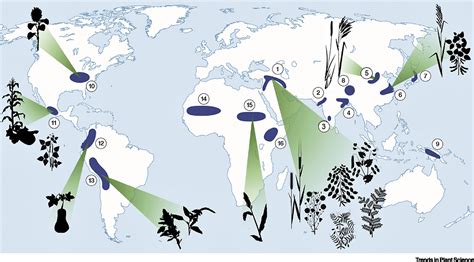 The Origins of Plant Cultivation and Domestication in … - wintechmobiles.com