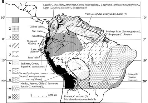 The Origins of Plant Cultivation and Domestication in the New World ... - wintechmobiles.com