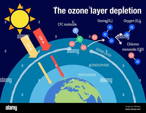 The ozone layer - DCCEEW - wintechmobiles.com