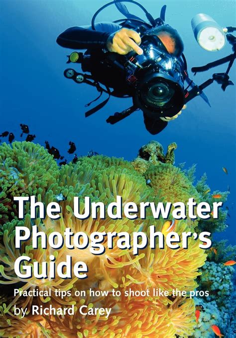 The Packing Guide for Underwater Photographers - raincitystudios.com