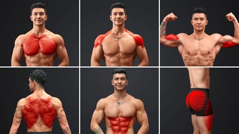 The PERFECT Full Body Workout Routine (3x/Week: 6 … - balustradellc