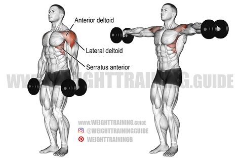 The PERFECT Lateral Raise - balustradellc