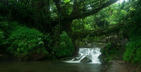 THE PETRICHOR RETREAT: KETIKA ALAM IKUT BERCERITA. - balustradellc