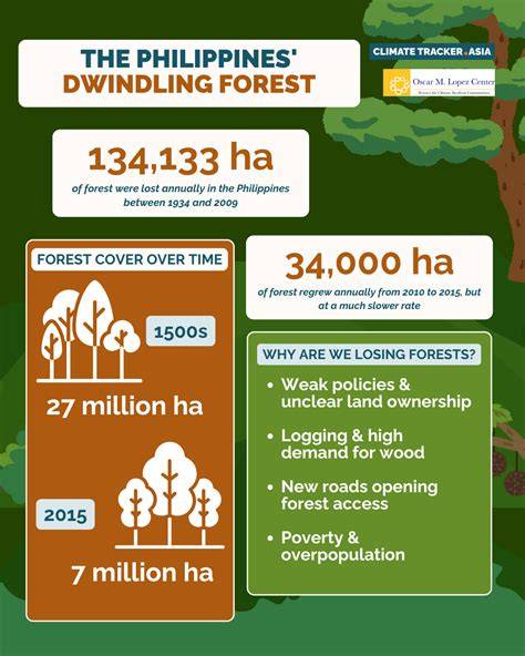 The Philippines' battle against deforestation: progress … - raincitystudios.com