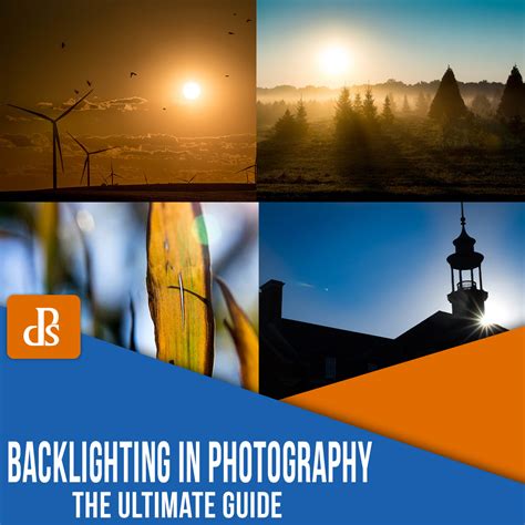 The photographer’s ultimate guide to backlighting - balustradellc
