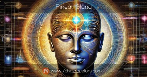 The Pineal Gland Third Eye Chakra Connection | Gaia - balustradellc