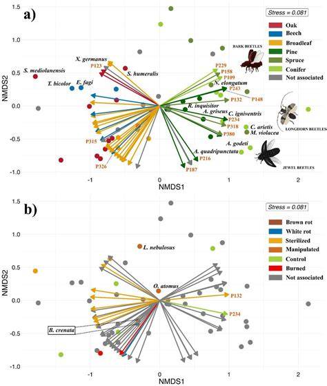The potential role of volatile organic compounds on the colonisation of ... - raincitystudios.com