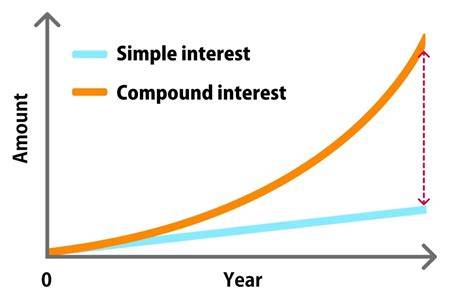 The Power of Compound Interest in Long Term Holding Periods - balustradellc