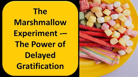 The Power of Delayed Gratification: Insights from the Marshmallow ... - balustradellc