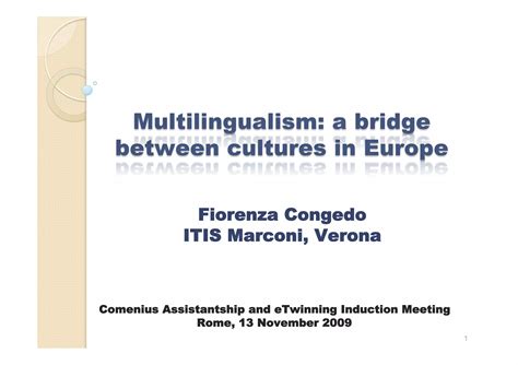 The Power of Multilingualism: Bridging Cultures and … - balustradellc