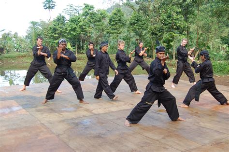 The Practice of Pencak Silat in West Java - DocsLib - balustradellc