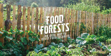The Principles of a Food Forest - Wisconsin Food Forests - raincitystudios.com