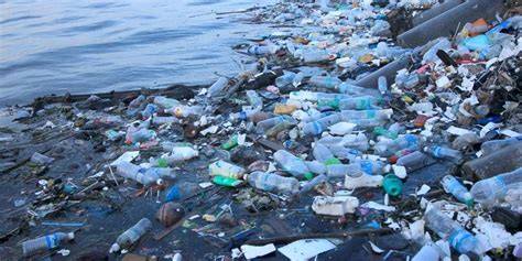 The problem with plastic pollution - National … - raincitystudios.com