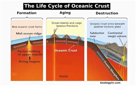 The Process of Formation of Ocean Crust - Science | AAAS - raincitystudios.com