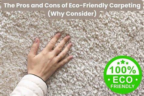 The Pros and Cons of Eco-Friendly Carpeting (Why … - raincitystudios.com
