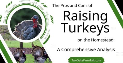 The Pros and Cons of Raising Turkeys on the … - balustradellc
