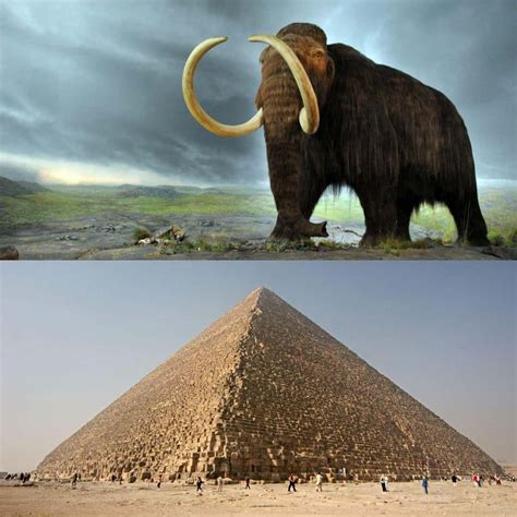 The pyramids were standing. Woolly mammoths were still ... - wintechmobiles.com