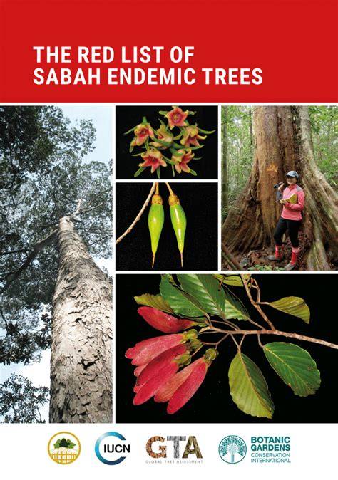 The Red List of Endemic Trees & Shrubs of Ethiopia … - raincitystudios.com