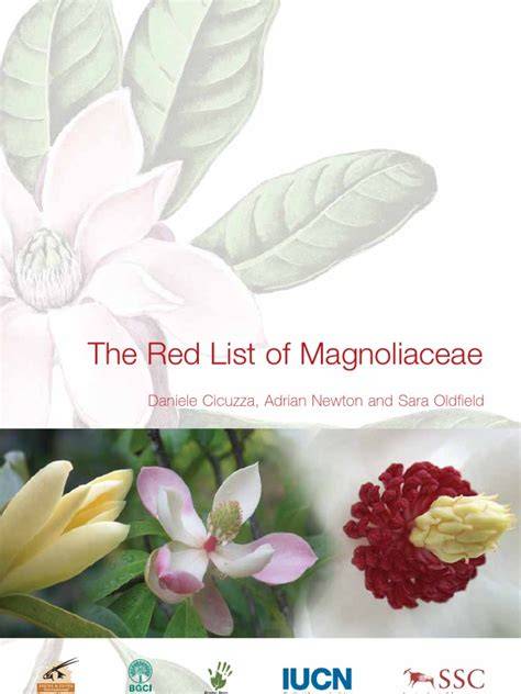 The Red List of Magnoliaceae - raincitystudios.com