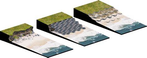 The Relationship Between Diatoms and Coastal Erosion Control - raincitystudios.com
