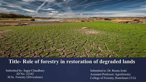 The Restoration of Degraded Lands by Local … - raincitystudios.com