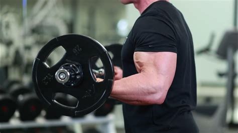 The Right Way to Curl: Master Bicep Form for Real Growth - balustradellc
