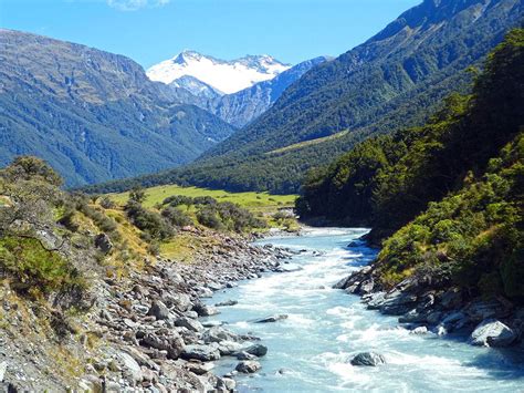 THE ROB ROY GLACIER TRACK (DETAILS & PHOTOS)