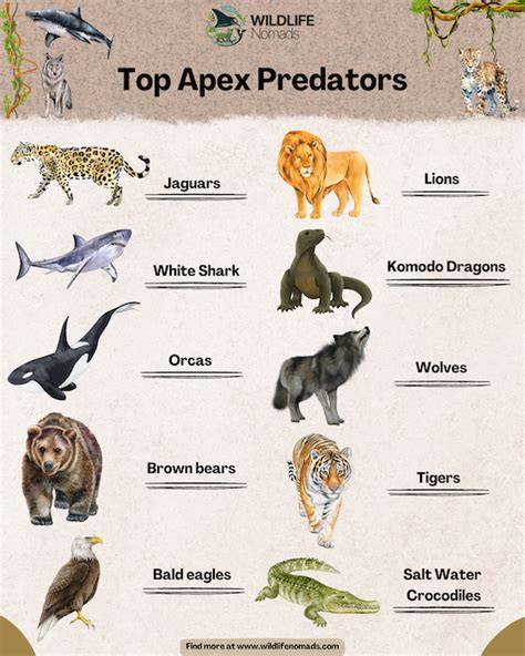 The Role of Apex Predators in Ecosystems - raincitystudios.com