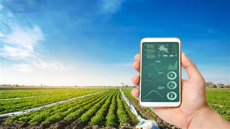 The Role of Automation in Modernizing Irrigation Practices and Smart ... - coolestguyplanet.net