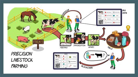 The Role of Digital Identification in Modern Livestock Farming Using ... - coolestguyplanet.net