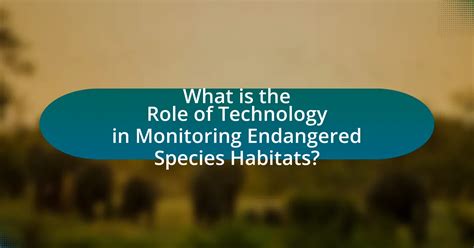 The Role of Drone Technology in Monitoring Endangered Species ... - wintechmobiles.com