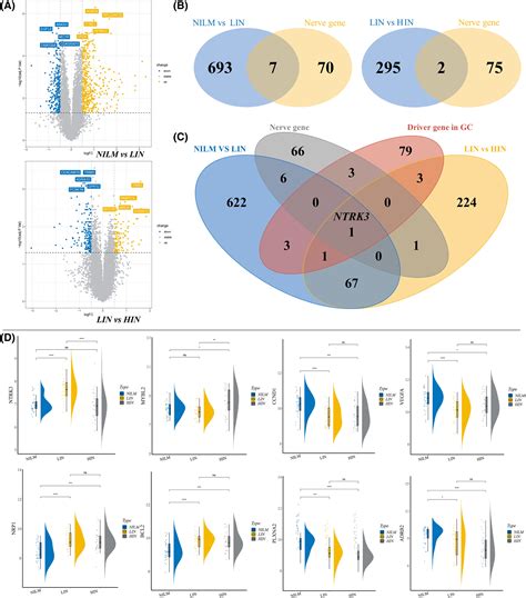 The role of dynamic interplay exists between sympathetic and ... - muktibox.com